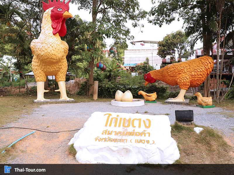 ไก่เบตง ยะลา