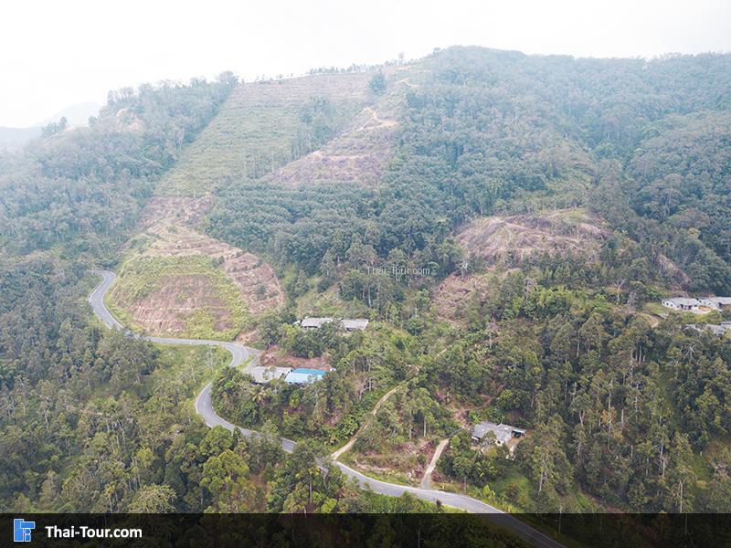 วิวมุมสูงด้านบน อุโมงค์ปิยะมิตร