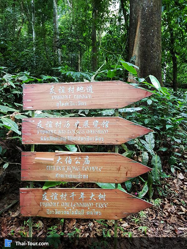 จุดเดินชมบรรยากาศ 