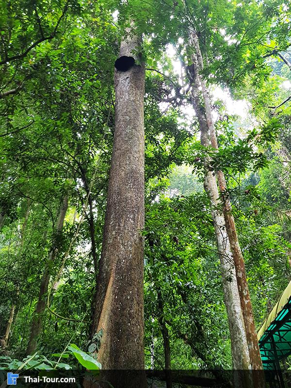 บรรยากาศ อุโมงค์ปิยะมิตร