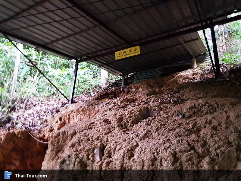 อุโมงค์ปิยะมิตร