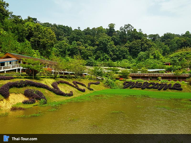 สระน้ำ สวนหมื่นบุปผา