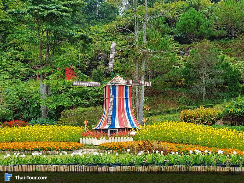 บรรยากาศดีดี สวนหมื่นบุปผา