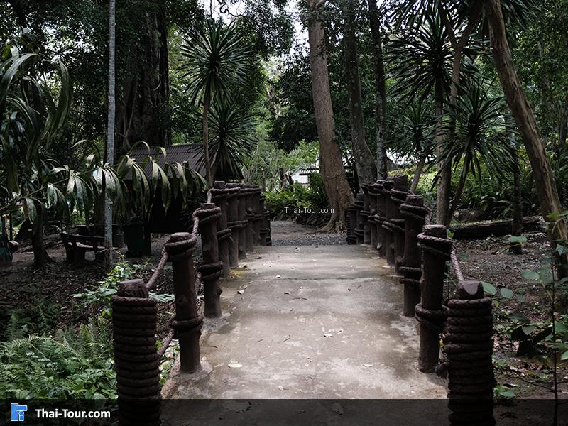 ทางเดิน เล่นในอุทยาน