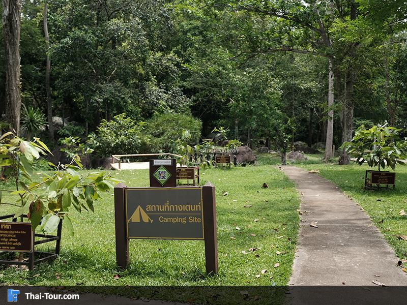 จุดกางเต้นท์ ของอุทยานน้ำตกห้วยยาง