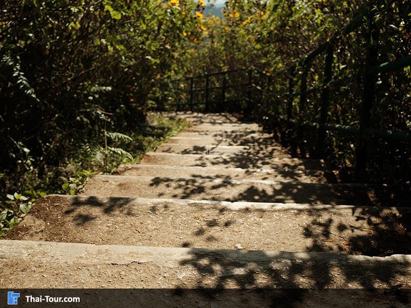 บันไดเดินขึ้นมาชมวิวด้านบน