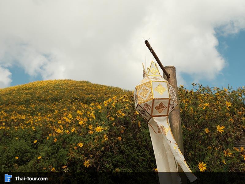 วิวด้านล่างสวยๆ