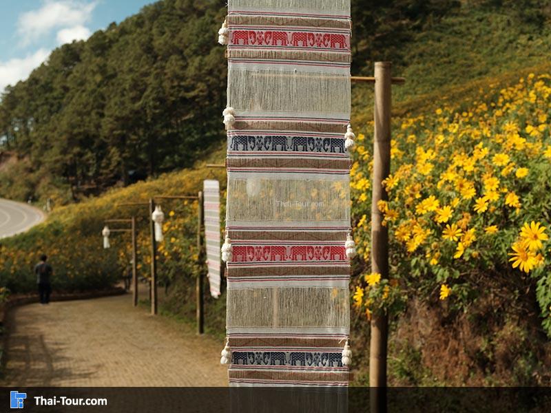 ทางเดิน ชมทุ่งดอกบัวตอง