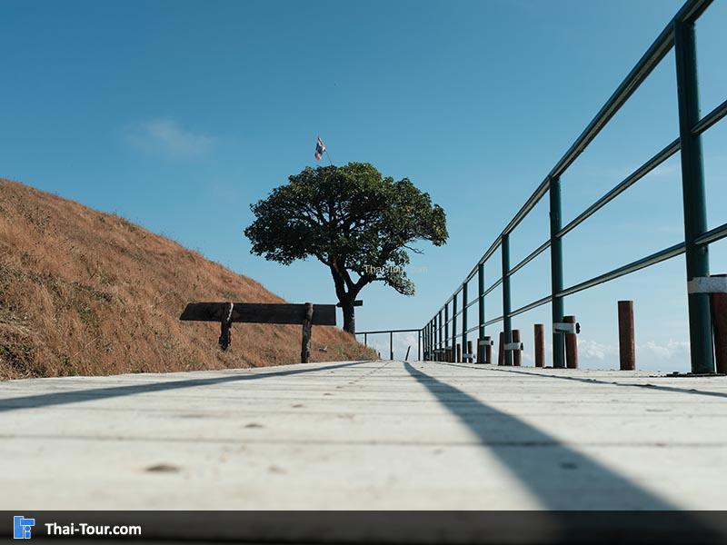 เดินเล่นชิวๆ ถ่ายภาพเพลินๆบนสะพาน