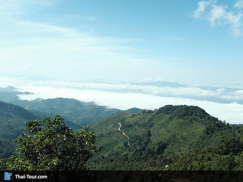 พร้อมโบกมือลาทะเลหมอก