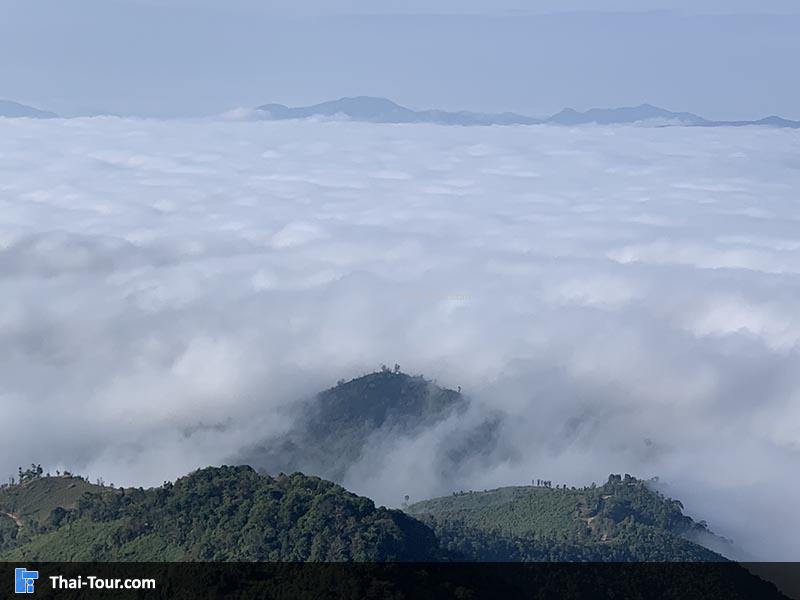 ทะเลหมอกที่ยังหนาแน่น