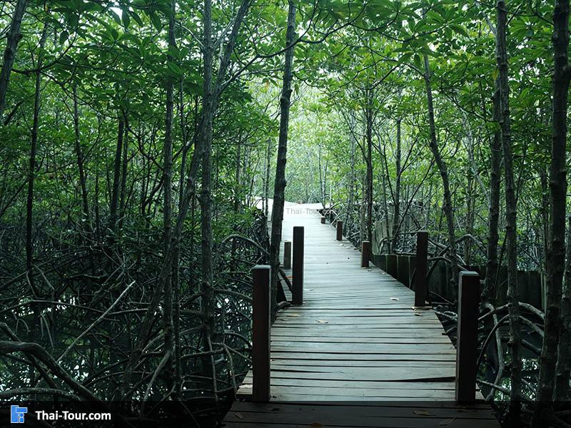 สะพานเดินเล่นชิวๆ