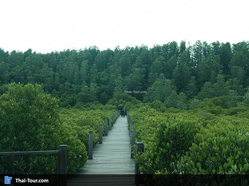 จุดนี้จะมีนักท่องเที่ยวมาถ่ายภาพเยอะมาก