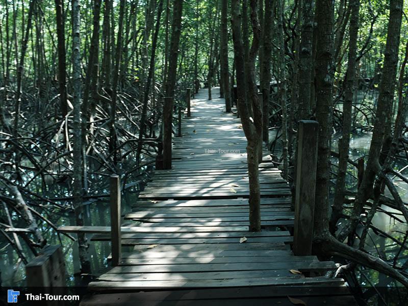 สะพานเดินเล่นชิวๆ