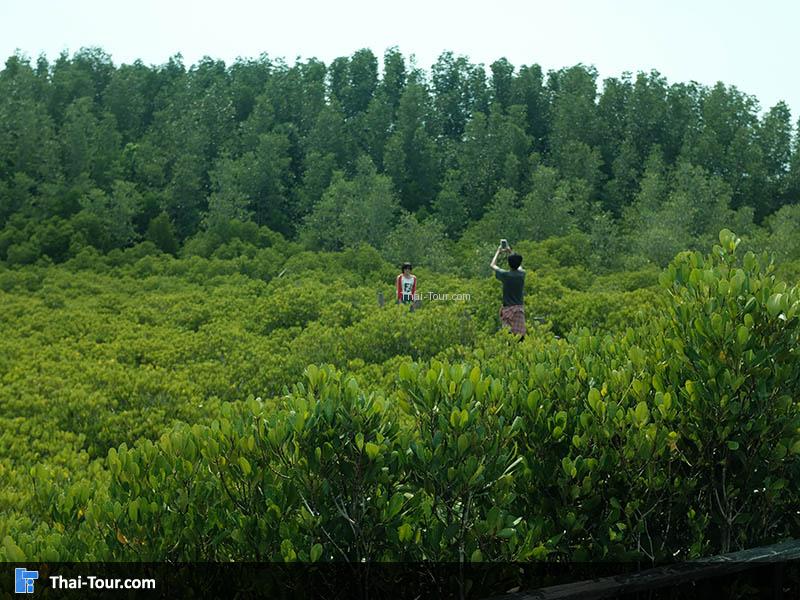 ถ่ายภาพกันแบบชิวๆ