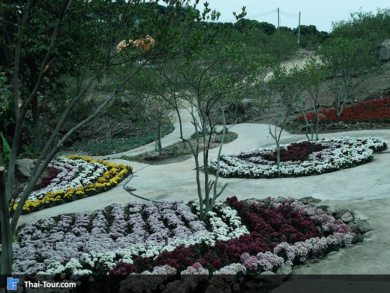 สวนดอกไม้