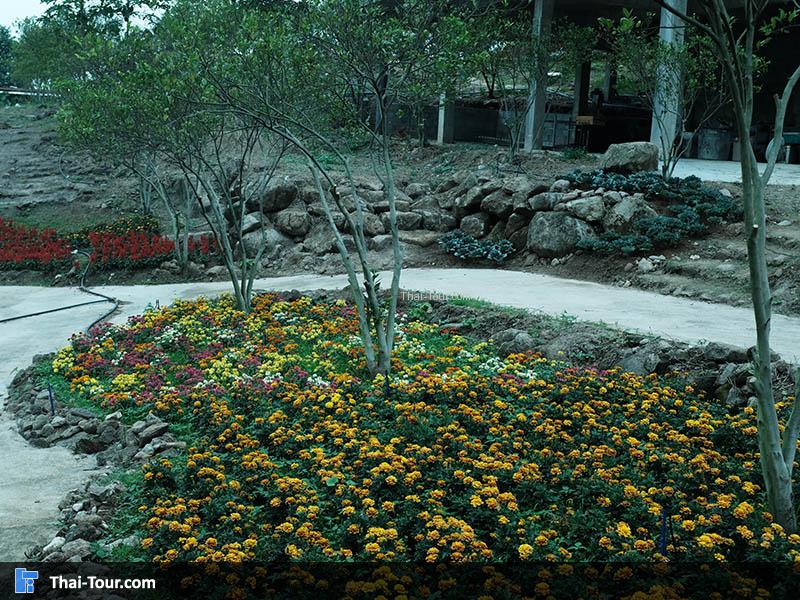 สวนดอกไม้