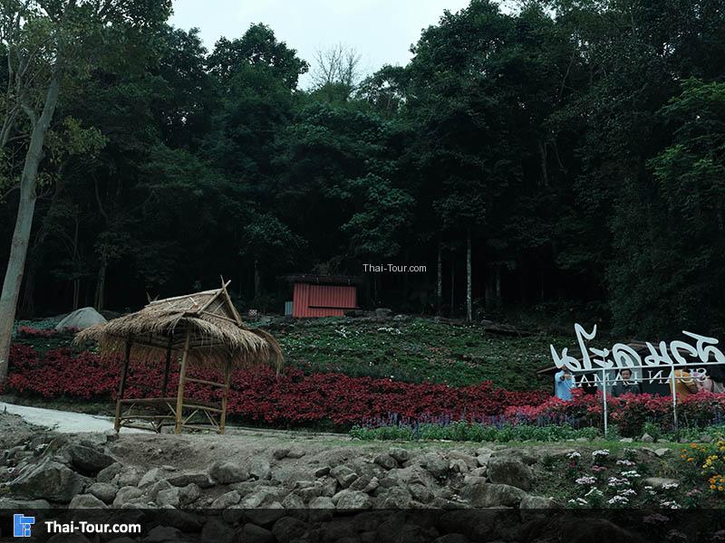 สวนดอกไม้