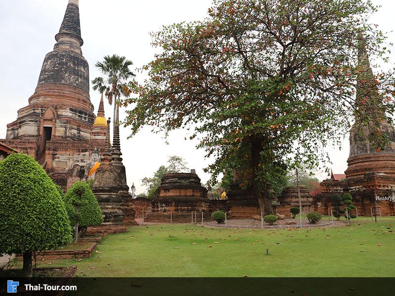 วัดใหญ่ชัยมงคล