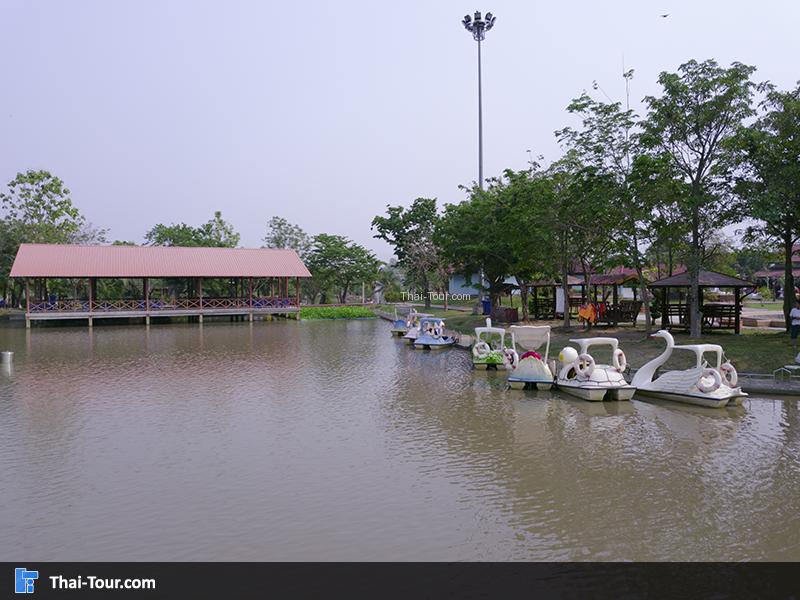 มีบริการทีบเรือเป็ด แบบฟินๆ