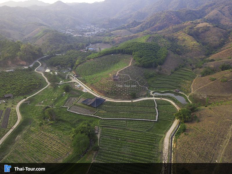 ภาพมุมสองของโครงการร้อยใจรักษ์