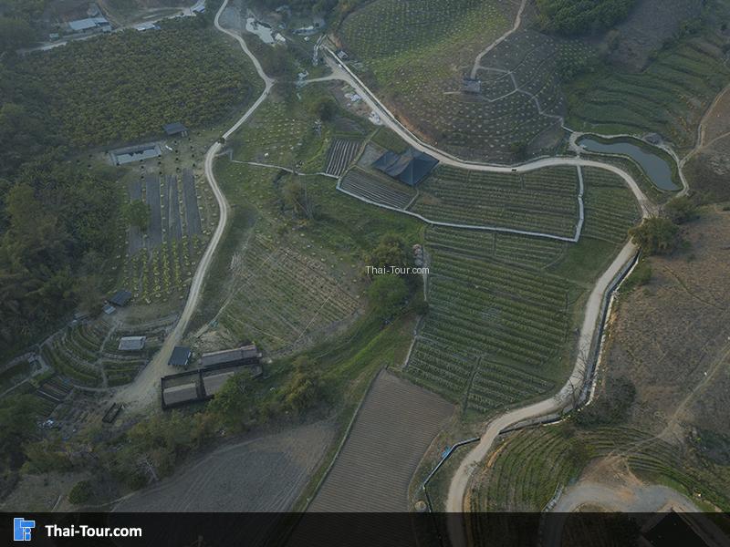 ภาพมุมสองของโครงการร้อยใจรักษ์