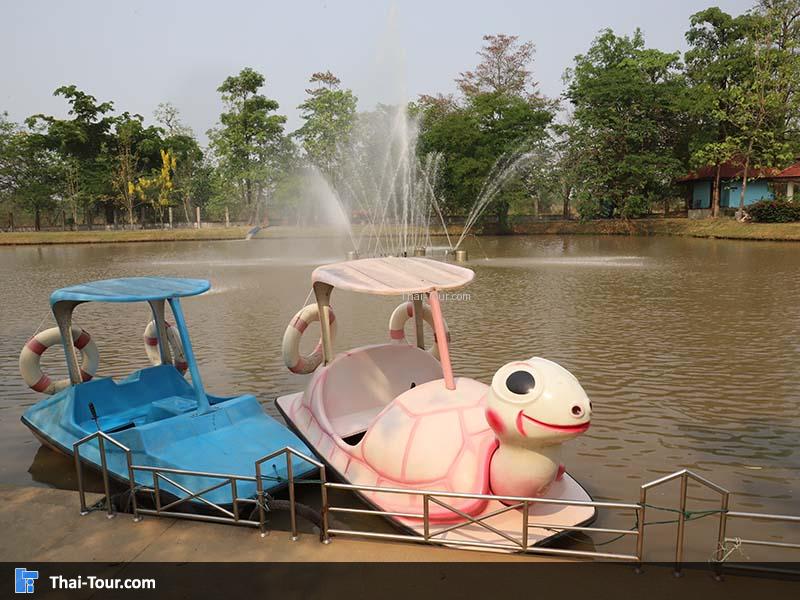 เรือทีบ ภายในสระ