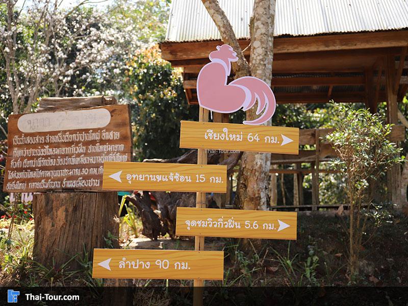 บ้านป่าเหมี้ยง