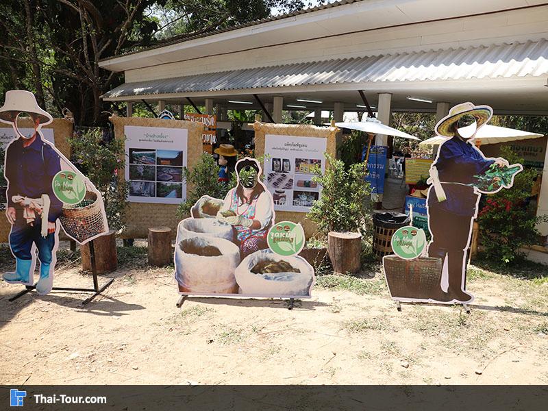 จุดถ่ายภาพ