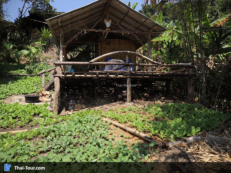 หมู่บ้าน บ้านไม้เรือนไทย