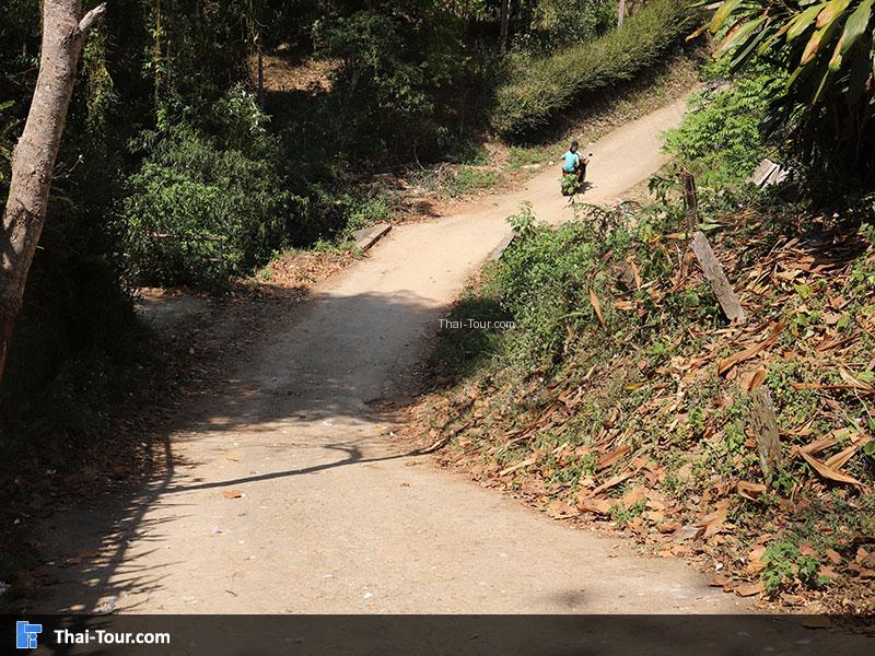 เส้นทาง บ้านป่าเหมี้ยง