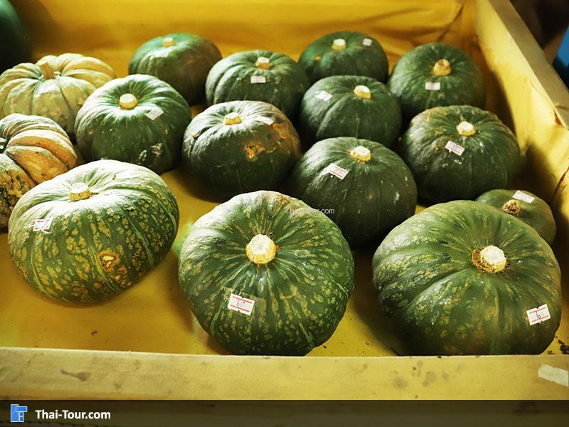 ฟกทอง สวยๆ 