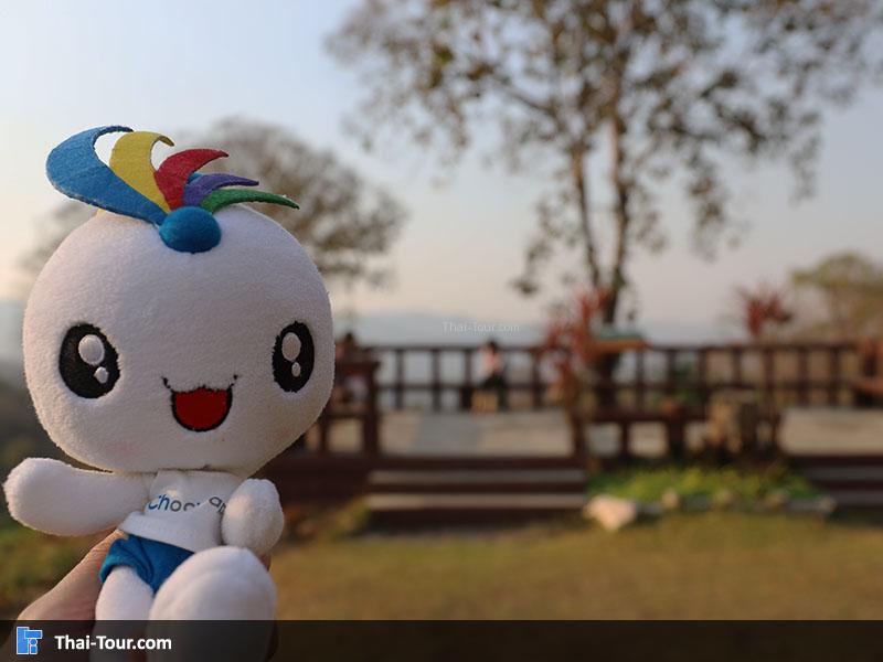 ถ่ายภาพกับน้อง choowap สักหน่อย