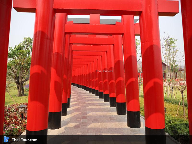 ฮิโนกิแลนด์