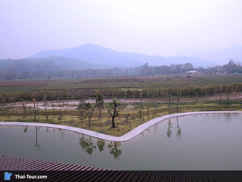 บรรยากาศวิวสวย ฮิโนกิแลนด์