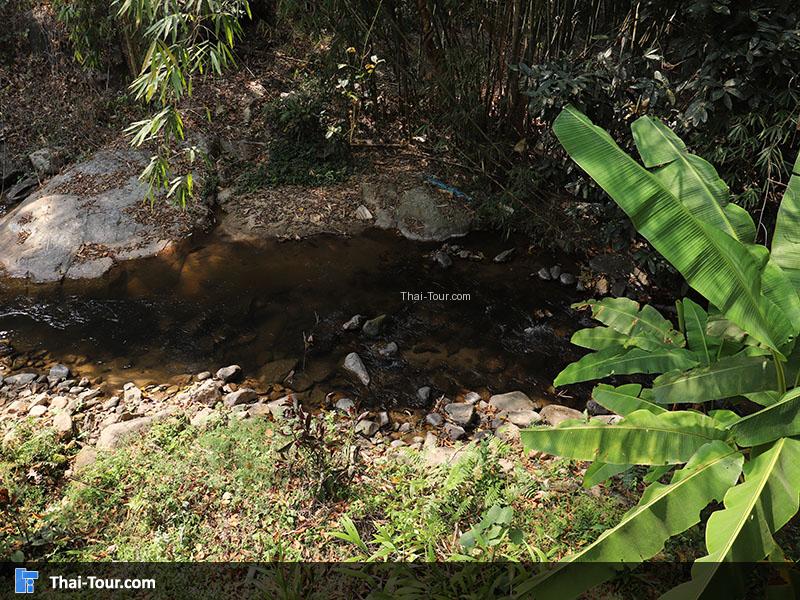 โครงการหลวงตีนตก