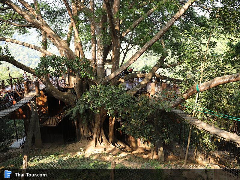 เดอะไจแอนท์