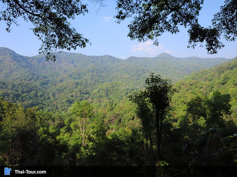 บรรยากาศวิวสวยๆ