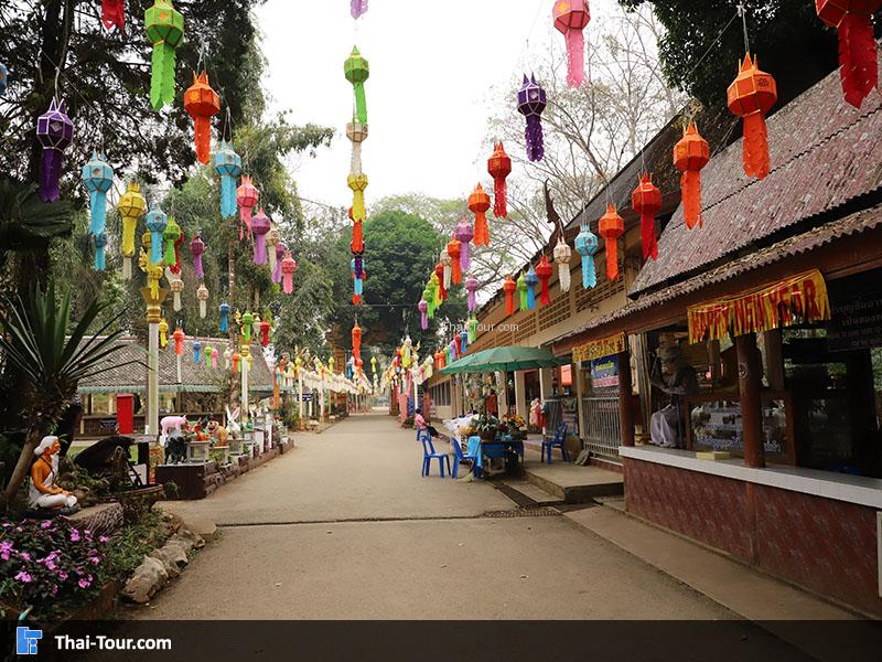 รอบๆ วัดถ้ำเชียงดาว