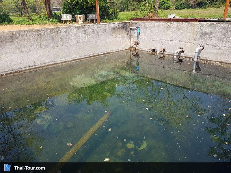 บ่อน้ำ น้ำพุร้อนดอยสะเก็ด
