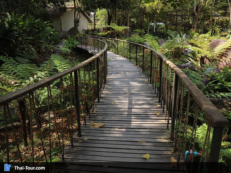 สะพานเดินชม ผาน้ำลอด