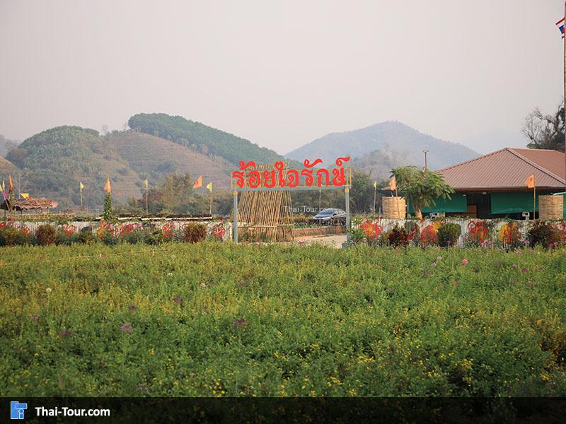 วิวสวยๆ  โครงการร้อยใจรักษ์