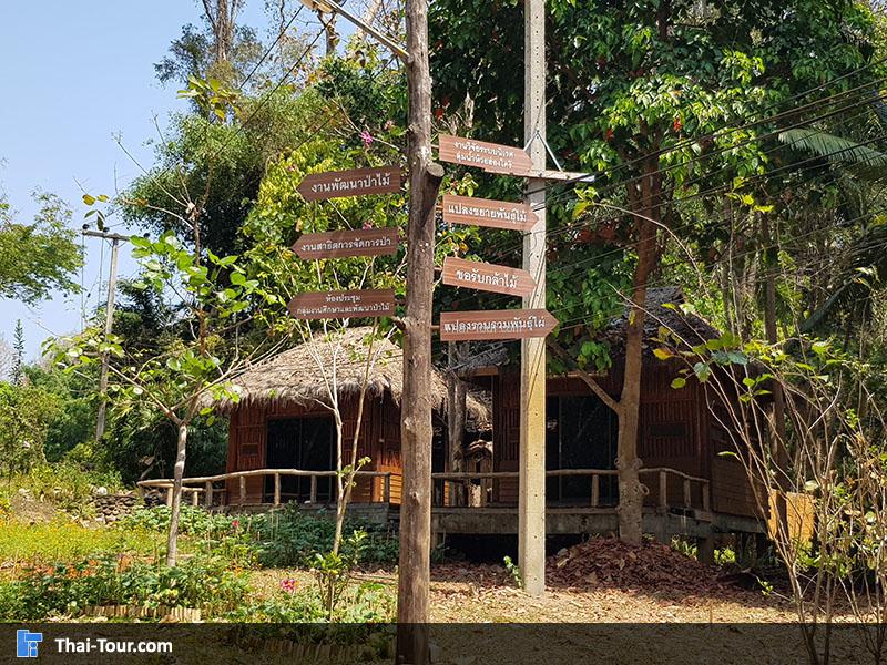 แปลงสาธิตการปลูกไม้ไผ่