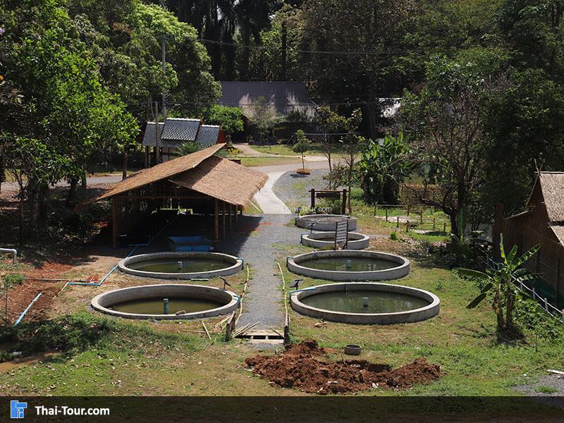 ศูนย์ศึกษาการพัฒนาห้วยฮ่องไคร้