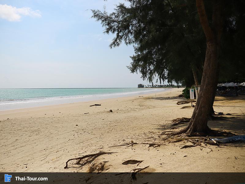 หาดชายหาด หาดบางสัก