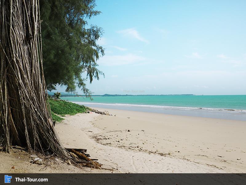 หาดชายหาด หาดบางสัก