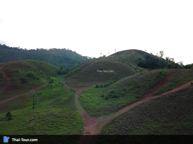 ภาพมุมสูง ภูเขาหญ้า