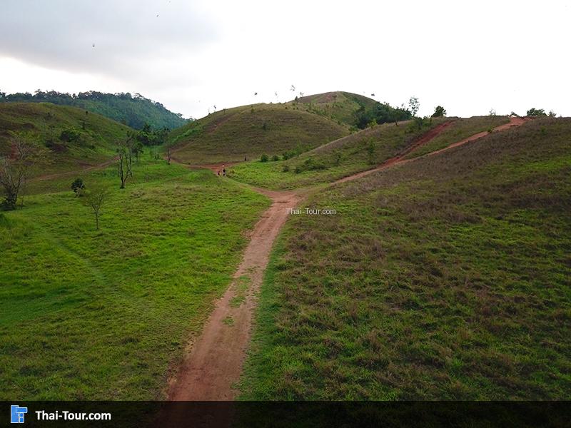 ภาพมุมสูง ภูเขาหญ้า