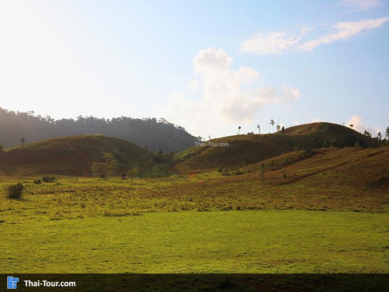 ภูเขาหญ้า