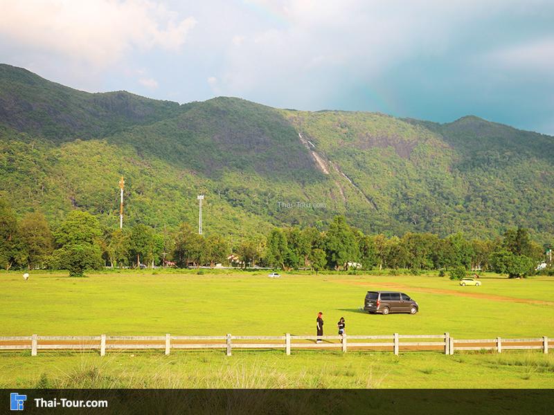 ภูเขาหญ้า